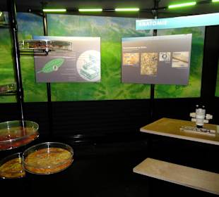 Mikroskope in der Spirale