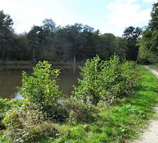 Am See des Delmenhorster Tiergartens