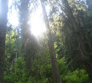 Parcul Natural Apuseni