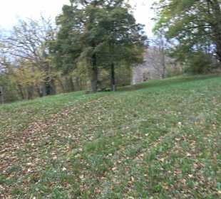 Grillstelle Untere Diepoldsburg