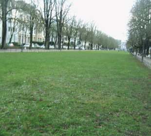 Talviertel - Poppelsdorfer Allee