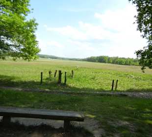 Naturschutzgebiet Boberger Niederung
