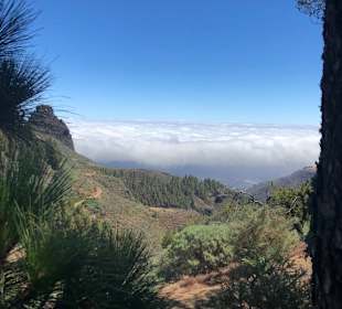 Inseltour Romántica Alltours