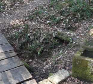 Grafenberger Brünnele