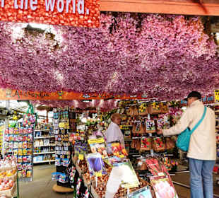 Blumenmarkt Amsterdam - Amadea