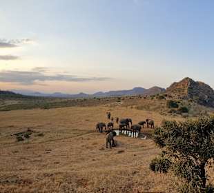 Ausblick Nguli Lodge