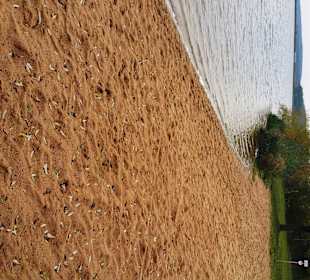 Zeltplatz Sandstrände