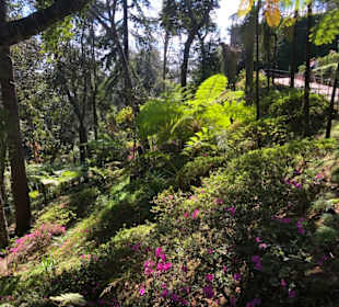 Parque 