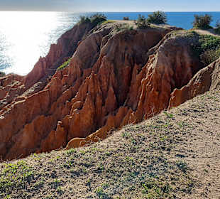 Seven Hanging Valleys Trail 