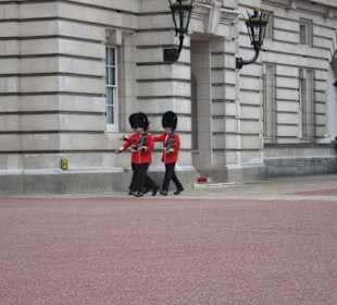 The Queen's Guards