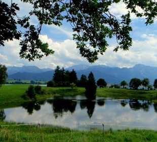 Toteis-loch Dietringen am Forggensee