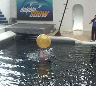 Delphinarium in Varna