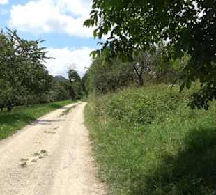 Hochgehnießen - Premiumspazierwanderweg