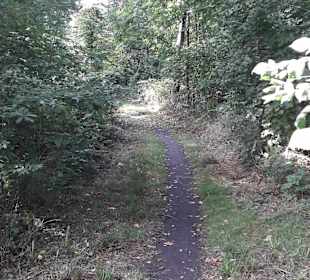 Stadtrundgang Neubrandenburg