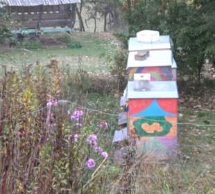 Erlebnisbauernhof und Wildgehege