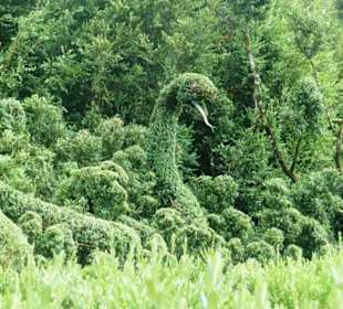 Wunderschön geschnittene Figuren im Garten.
