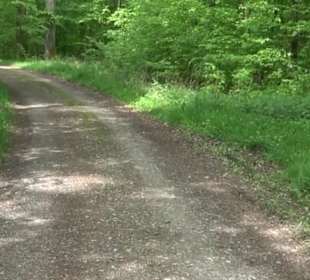 Naturpark Schönbuch