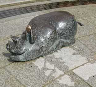 Eines der Schweinchen vom Haßfurter Säulesbrunnen