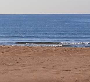 Strand Colakli