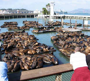 Pier 39