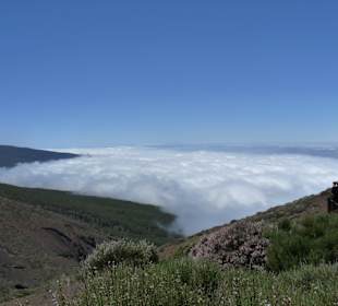 Parque Nacional del Teide