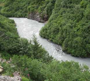 Mit der Train in der Natur Alaskas
