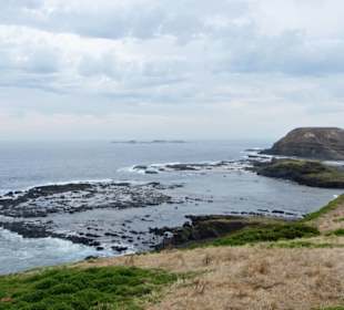 Westküste - bei The Nobbies
