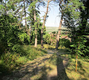 Viscri/Deutsch-Weisskirch