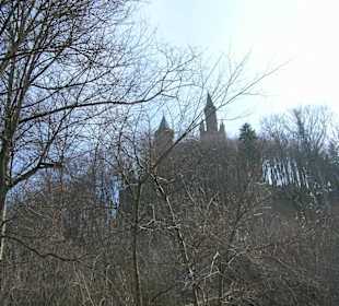 Il castello fra i boschi