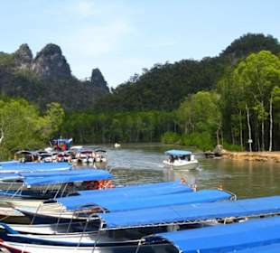 Mangroventour - Start