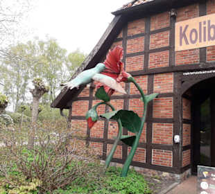 Weltvogelpark Walsrode