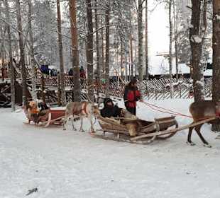 Rentierschlitten fahren