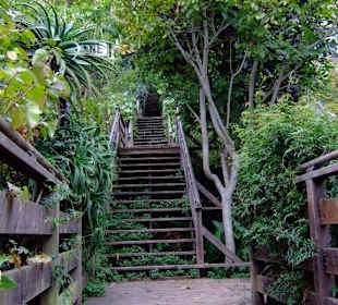 Auf dem Weg zum Coit Tower