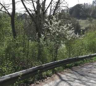 Aussichtspunkt Bichishausen