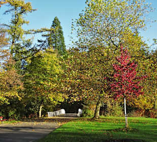 Impressionen aus dem Bürgerpark Bremerhaven