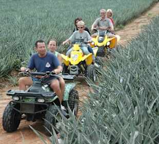 Mr. Moo Bats & Bikes