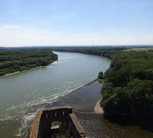 Burg