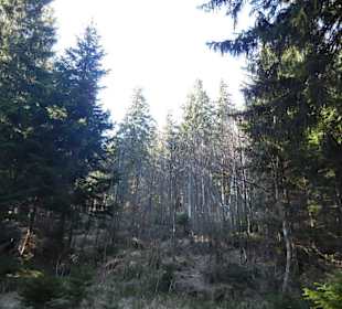 Karkonoski Park Narodowy