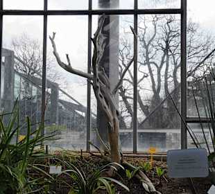 Anlage Planten un Blomen