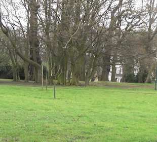 Wasserschloss Bodelschwingh