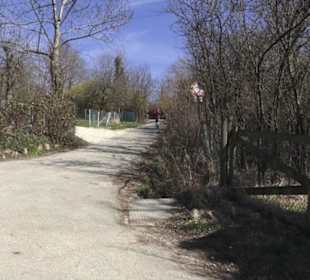 HAP Grieshaber Rundweg