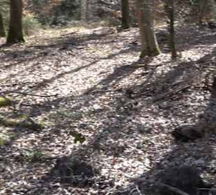 Historischer Rundwanderweg Aichtal