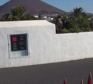 Fundacion Cesar Manrique