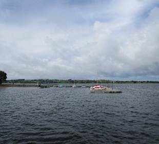 Deerpark Forest Wanderweg