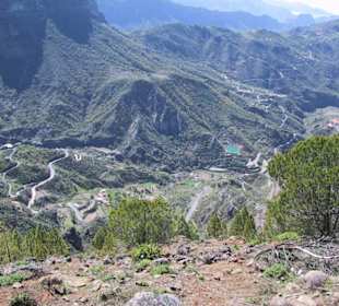 Mitten in Gran Canaria