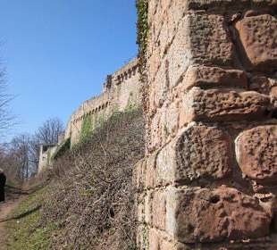 Burgruine Neuscharfeneck