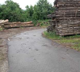 Sägemühle und Stielfabrik