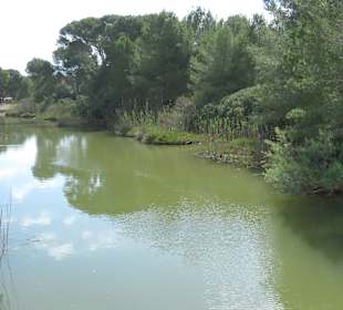 Naturpark S'Albufera