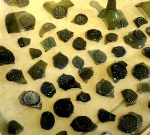 Flaschensiegel aus der Stadtarchäologie