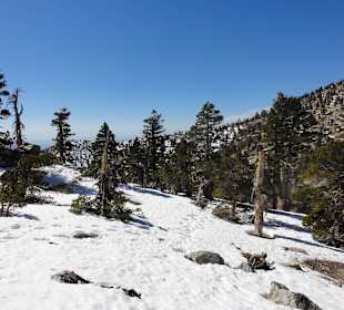 Горы Сан-Габриэль - снег, но не холодно!